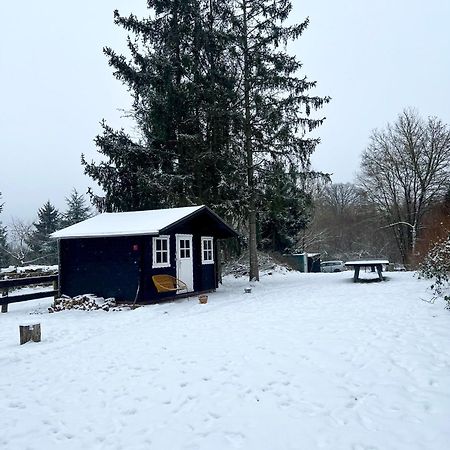 Wunderschönes Chalet mit Gästehaus in der Natur + Pferdeweide Sangerhausen Exterior foto